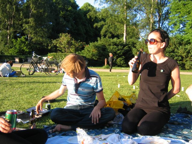 pikknikkflledeparken.jpg