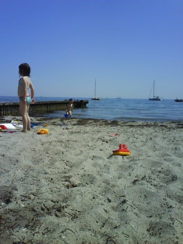 photo28.jpg