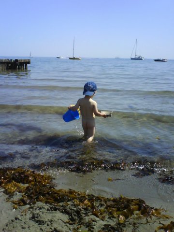 photo29.jpg