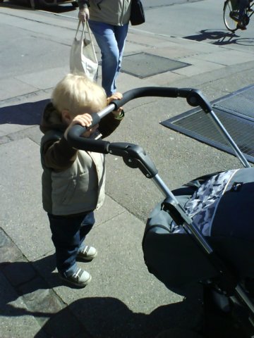 photo8.jpg