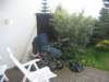 Photo Number 6