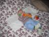 Photo Number 8