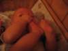 Photo Number 5