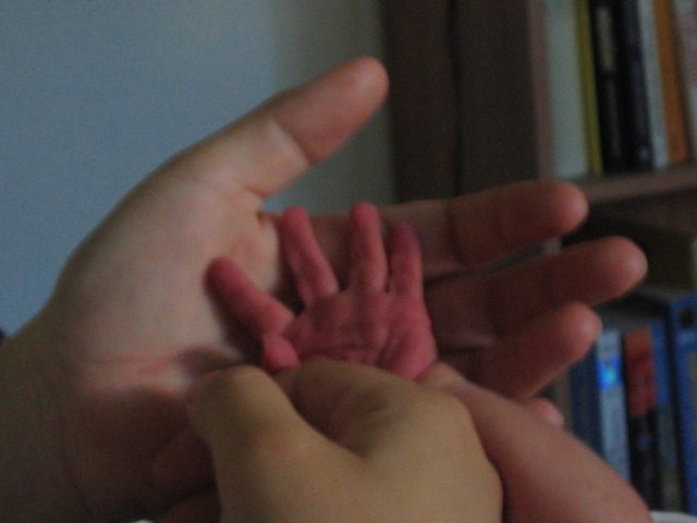 Photograph