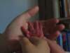 Photo Number 15