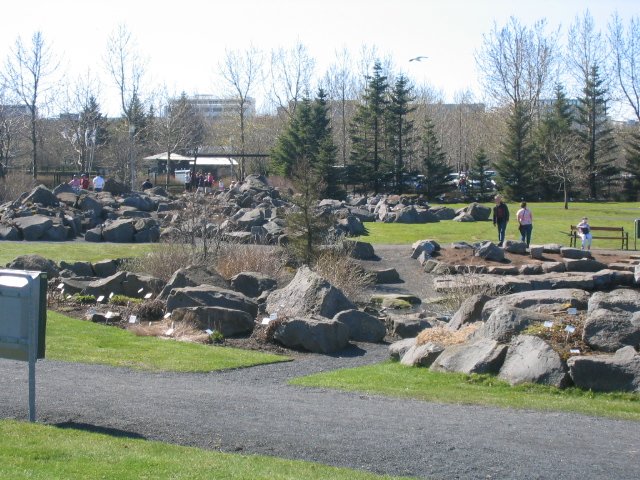 Photograph