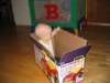 Photo Number 13