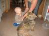 Photo Number 13