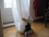 Photo Number 15