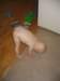 Photo Number 3