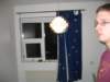 Photo Number 8