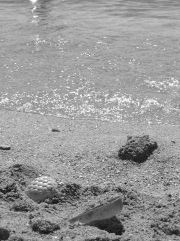 photo44.jpg