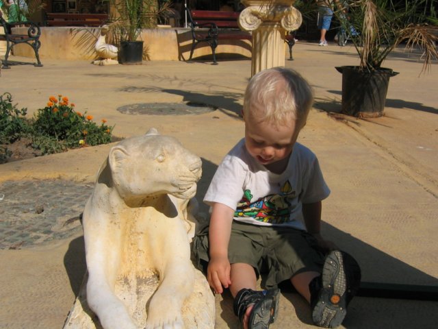 photo80.jpg