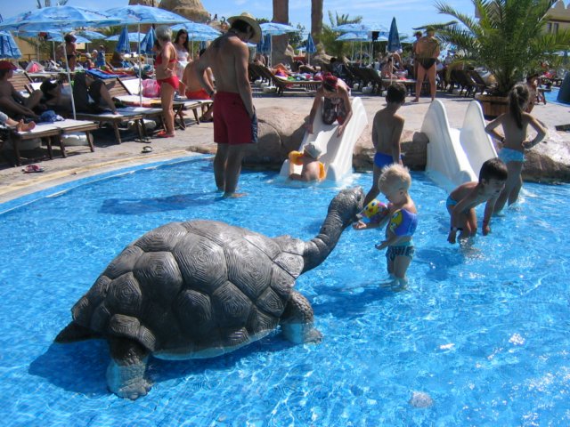photo83.jpg