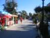 photo9_small.jpg