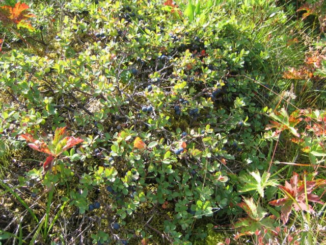 photo13.jpg