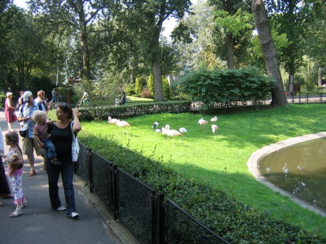 photo26.jpg