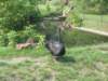 photo31_small.jpg