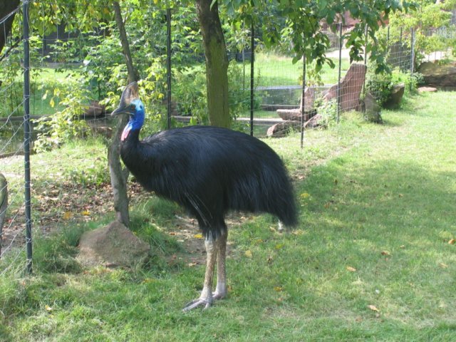 photo32.jpg