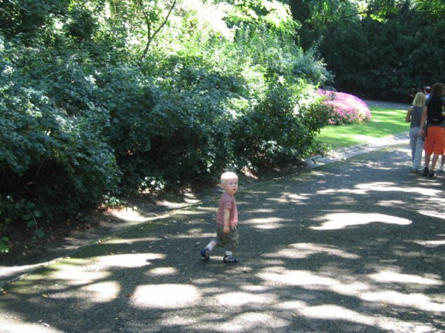 photo37.jpg