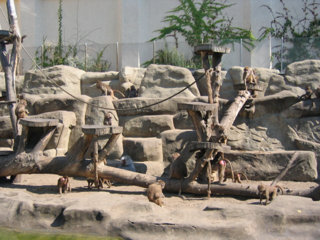 photo44.jpg