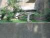 photo47_small.jpg