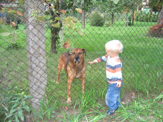 photo52.jpg