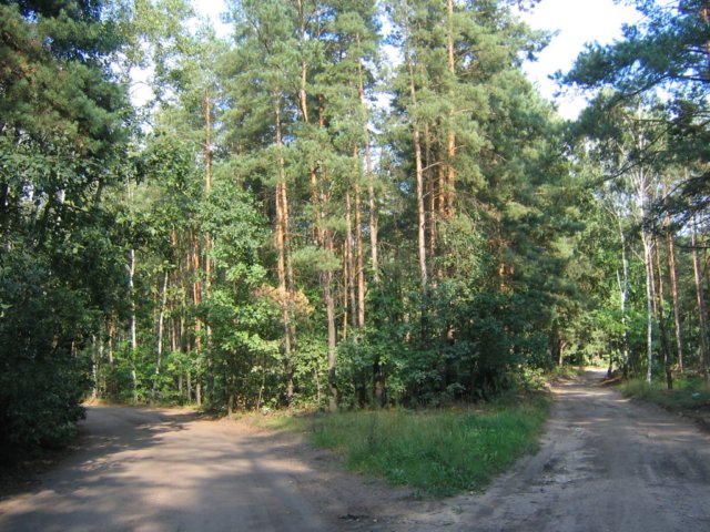 photo61.jpg