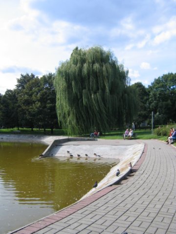 photo68.jpg