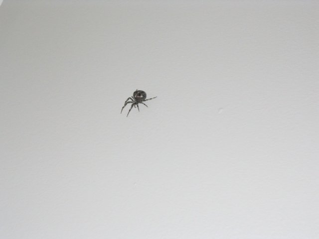 photo77.jpg