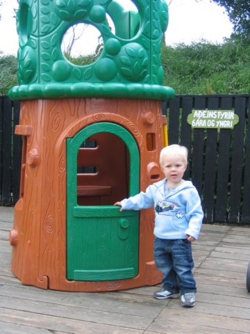 photo8.jpg