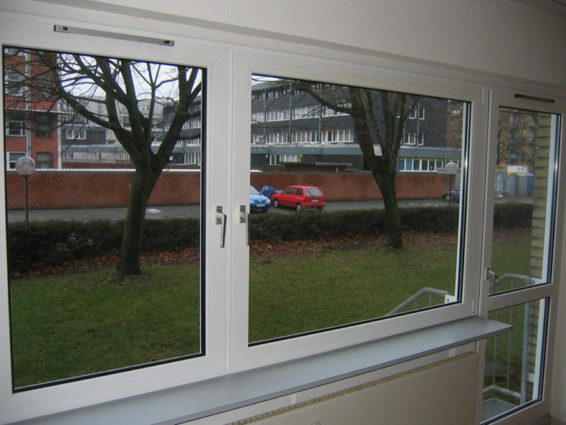 photo3.jpg